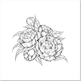 Sketch peonies Posters and Art